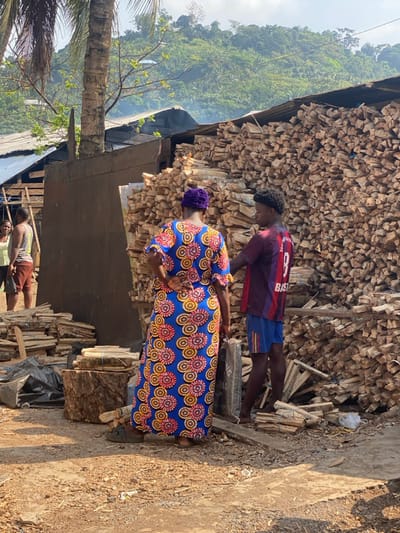 The image, taken in Victoria, Cameroon, captures an outdoor scene dominated by large stacks of firewood under bright daylight.
In the foreground, an adult woman and a younger male are present. The woman, viewed from behind and slightly to her right, wears a vibrant blue dress adorned with a repetitive pattern of yellow and orange concentric circles. She also has a purple headwrap. She is bending slightly, looking down towards the ground near a stack of wood. Beside her, a young male, also seen from behind, wears a striped football jersey in maroon and blue, with "BARCELONA" or "BARCA" visible on the stripes and the number "8" on the back. He is also looking downwards, facing the wood piles.
The primary objects in the scene are numerous bundles of split firewood, neatly stacked in towering piles against a dark, possibly wooden, structure that forms the back wall of a shed or similar building. Some smaller bundles of wood are also visible on the dirt ground. In the left midground, part of a palm tree trunk and foliage can be seen. Further in the background, lush, green, forested mountains rise under a bright, clear sky, indicating a tropical or subtropical environment. Another male figure in a light-colored t-shirt and dark shorts is partially visible in the left background, near some wooden structures.
The activity suggests a location for processing, storing, or selling firewood, with the individuals appearing to be engaged in work related to these piles. The scene is well-lit, indicating midday or early afternoon.