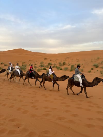 A group of people ride camels in a line through a desert landscape near Rissani, Morocco. The terrain consists of sandy dunes and scattered vegetation. The sky is overcast. The group is made up of at least six people on camels, each wearing different clothing. The camels appear to be moving at a moderate pace. The dunes are windblown and show signs of prior activity, with visible footprints.