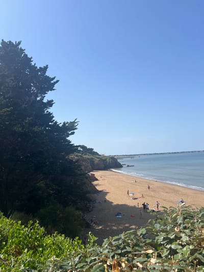 The image depicts a sunny day at a beach in Saint-Michel-Chef-Chef, France. The foreground is dominated by lush green foliage, obscuring the lower portion of the scene. Beyond the foliage, a sandy beach stretches out, populated by several individuals sunbathing, walking, and standing. The beach meets the gentle waves of the ocean under a clear blue sky. To the left, a steep, vegetated cliffside runs along the edge of the beach, with trees and shrubs covering its surface. A few scattered rocks are visible near the base of the cliff where it meets the water. The distant horizon shows a faint line of buildings, suggesting a coastal town or settlement. The overall impression is one of a serene and active beach environment.
