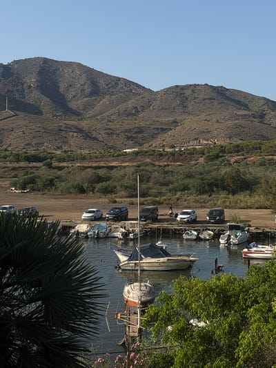The image depicts a sunny day at a small harbor near La Unión, Spain. In the foreground, a palm frond partially obscures the view of several boats docked in the calm water. The boats are of various sizes and types, some covered with tarps. Further back, a wooden pier runs along the shoreline, with several cars parked on the dusty ground behind it. A few people are visible near the cars. The middle ground is characterized by a line of green trees and vegetation, separating the harbor area from the background. Dominating the background are large, arid hills with sparse vegetation under a clear blue sky. The scene conveys a sense of a peaceful, rural coastal environment.