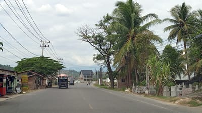 This is a medium-angle, eye-level, outdoor shot of a paved road in Cotbada, Indonesia, on an overcast day. The road curves to the left and appears to be a two-lane highway. On the left side of the road are small, rustic roadside structures, including wooden shacks with open fronts displaying various goods and what appear to be cages stacked near one structure. A dark-colored truck with a load secured on top, identified by the word "MITSUBISHI" on its rear, is driving away from the camera on the right lane. Two motorcycles are also visible on the road, traveling in the same direction as the truck.

Dominating the right side of the frame are several tall palm trees and a cluster of tall, green sugar cane stalks. Behind the palm trees, and further down the road, is a multi-story building with a dark-colored roof, appearing to be under construction or recently built. In the foreground on the right side of the road, stacks of concrete blocks or decorative fencing panels are arranged. Overhead, numerous power lines crisscross the sky, supported by utility poles. The background features a gently sloping, tree-covered hillside. The overall impression is of a rural or semi-urban setting along a main thoroughfare.