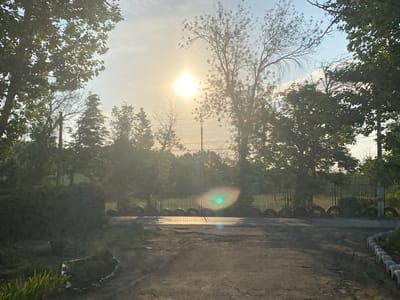 The image depicts an outdoor scene with a bright sun in the upper center, casting a strong glare and lens flare. Lush green trees frame the sky on the left and right, with a sparse, bare tree visible behind the sun. A gravelly or asphalt-covered path leads towards a metal fence lined with tires. In the foreground, there is a patch of green plants and a low stone border. The overall setting appears to be a somewhat unkempt outdoor area, possibly a park or a yard, with evidence of repurposed materials like the tires used for the fence. The lighting suggests it is either sunrise or sunset. The location is identified as Antratsyt, Ukraine.