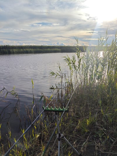 An outdoor, eye-level, full shot captures a serene waterscape with fishing equipment in the foreground. The scene is set by a body of water with gentle ripples, bordered by dense reeds and tall grasses on the right bank. The sun is setting or rising, casting a bright glare on the water and illuminating the greenery. Two fishing rods are propped up on a green fishing rod rest, which is supported by a tripod. The fishing rods are angled towards the water, suggesting an active fishing setup. The background features a line of darker reeds and trees across the water, under a cloudy sky with shafts of sunlight breaking through. The overall impression is one of peaceful solitude and nature. The location is identified as Lukauski Sel'ski Savet, Belarus.