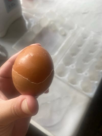 A close-up shot shows a hand holding a brown egg with a visible crack running horizontally across it. The egg is in the foreground, and behind it, out of focus, is a white egg carton. The background is blurred and appears to be indoors, possibly a kitchen. The lighting suggests it's daytime. The image does not provide any information about the city of Mamontovo, Russia, or any specific location details beyond what is visually present.