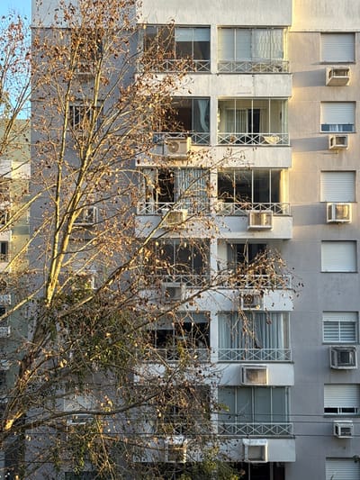 This image presents a vertical view of a multi-story residential building in Porto Alegre, Brazil, partially obscured by a large deciduous tree in the foreground. The building features a light grey, textured facade with multiple levels, each containing various window configurations. Some windows are equipped with external metal grates or mesh, while those on the right portion of the structure display closed white external rolling shutters. Several balconies are visible; some are enclosed with glass panels, and others feature white, cross-patterned metal railings. Numerous external air conditioning units are mounted on the building's exterior across different floors. The tree, predominantly bare, displays a scattering of dry, brown leaves and some clusters of green foliage, notably illuminated by low-angle sunlight originating from the right. Thin, dark utility lines are faintly visible running horizontally across the lower part of the frame. No individuals or active interactions are depicted.