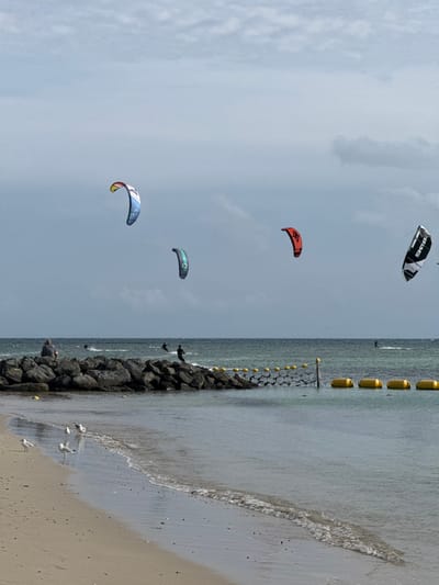 This image captures a kitesurfing scene at Anse Vata Beach, Noumea, France, under an overcast sky. The foreground shows a light sandy beach with gentle waves breaking at the water's edge.
Extending from the left of the frame into the water is a low, dark rock barrier. Beyond this barrier, a line of yellow cylindrical buoys connected by a dark net or rope stretches horizontally across the water, marking a boundary.
Four kites are visible in the sky: one multi-colored (blue, yellow, white, red) kite on the far left, a dark green/teal kite centrally located, a red kite to its right, and a black and white kite on the far right. Corresponding to these, at least four dark-clad kitesurfers are actively riding on the water, generating small wakes.
On the rock barrier, one individual is seated, facing the ocean. On the sandy beach in the immediate foreground, three white gulls are present near the waterline. The sky is uniformly light grey with visible cloud formations, providing diffused natural light to the scene.