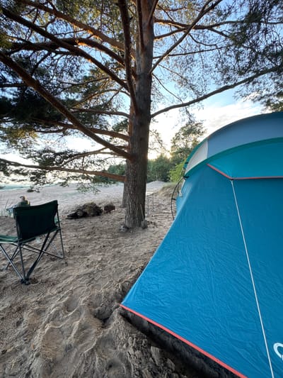 The image depicts a campsite on a sandy area, likely near a body of water, under a pine tree. In the foreground, a blue camping tent is partially visible on the right, with orange trim. To the left, a green folding camp chair is set up, and a person is seated in it, facing away from the camera. Behind the chair, there is a pile of firewood and a small metal barbecue grill. The sandy ground shows footprints and scattered pinecones. In the background, there is a beach with gentle waves, a treeline, and the sky, which is a mix of blue with some clouds and the warm glow of what appears to be sunrise or sunset. The location is identified as Shepelevo, Russia.