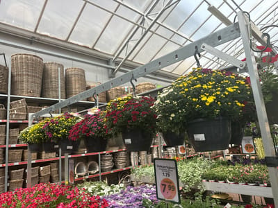 The image shows a greenhouse or garden center in Tuk, Netherlands, with various plants and baskets displayed for sale. In the foreground, there are racks of potted plants, including bright pink and purple flowers, as well as greenery. Hanging baskets filled with yellow and red chrysanthemums are suspended from metal racks. In the background, numerous wicker baskets of different sizes are stacked on shelves. A sign with Dutch text and pricing information is visible, indicating "Stekperkgoed" (cutting perennial) and a price of 1.79 for a 10.5 cm pot, with a promotion of "5 voor 7.99" (5 for 7.99). The ceiling of the structure is a translucent, corrugated material supported by a metal frame. There are no people visible in the image.