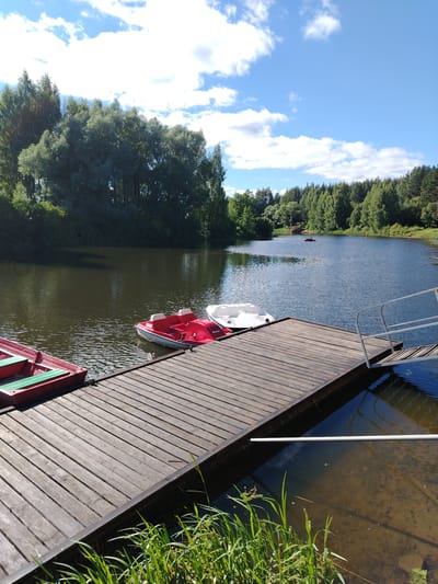 The image shows a wooden dock on a lake, with several pedal boats moored to it. Two red and white pedal boats are clearly visible, and part of a white pedal boat is also in view. The dock is made of weathered wooden planks and has a metal handrail and ramp leading to the water. The lake is surrounded by lush green trees, and the sky is blue with scattered white clouds. In the distance, several other pedal boats and what appears to be a small structure are visible on the water. The scene suggests a recreational area, likely within or near the city of Stroitel', Russia, given the context. The water is dark and reflects the trees and sky. Green reeds and aquatic plants are growing along the edge of the dock.