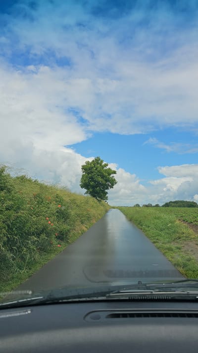 The image captures a rural landscape seen from the interior of a vehicle, looking out the front windshield. A narrow, dark asphalt road, appearing reflective as if wet or recently rained upon, stretches into the distance on the right side of the frame, curving gently to the left. To the immediate left of the road, lush green fields are abundant, featuring tall grasses and scattered clusters of small red flowers, likely poppies. In the mid-ground, a solitary, deciduous tree with a full, round canopy of green leaves stands prominently against the sky. The upper and middle left portions of the image are dominated by a bright blue sky filled with numerous fluffy white cumulus clouds. The lower right corner reveals part of the car's interior, specifically a dark-colored dashboard and the frame around the windshield, including a visible windshield wiper base. The scene suggests a daytime setting with clear, sunny weather, though the road's appearance might indicate recent precipitation. The overall impression is a serene drive through the countryside in Thuin, Belgium. No people are visible, and there is no discernible text in the image.