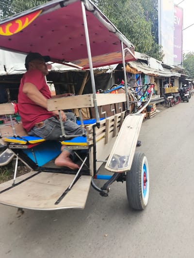 A man in a red shirt and jeans drives a horse-drawn carriage on a paved road. The carriage has a pink roof, wooden benches with blue cushions, and a large wooden panel. Buildings and trees line the road. Parked motorcycles are visible in the distance. A large sign stands tall in the background.