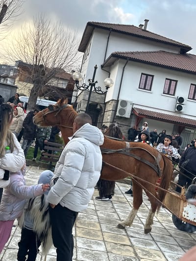 The image displays an outdoor scene in Novo Panicharevo, Bulgaria, featuring a crowd of people gathered around a horse and cart. In the background, a two-story white building with a brown tiled gabled roof, brown-framed windows, and two external air conditioning units is visible. An ornate black street lamp with two spherical lights stands in front of this building. Bare deciduous trees are present against an overcast sky in the upper left.
In the mid-ground, a brown horse with a bridle and harness is hitched to a two-wheeled wooden cart. A male individual, seen from behind, wears a light grey puffer jacket and dark pants, with his hands in his pockets, standing to the left of the horse. To his left, a young child in a blue hooded garment and a black and white shaggy vest costume is partially visible, with another child in a light purple puffer jacket extending an arm towards them. Further left, a person in a white puffer jacket holds a green bottle.
Two women are visible on the wooden cart: one wearing a dark hat with a colorful ornament, and another in a white patterned top. A person in a dark, shaggy costume is partially visible behind the horse. Numerous other individuals, dressed in various winter clothing, are scattered throughout the scene, observing the activity. The ground is paved with light-colored square pavers. A dark bench is situated behind the horse, and a white vehicle is partially visible in the distant background.