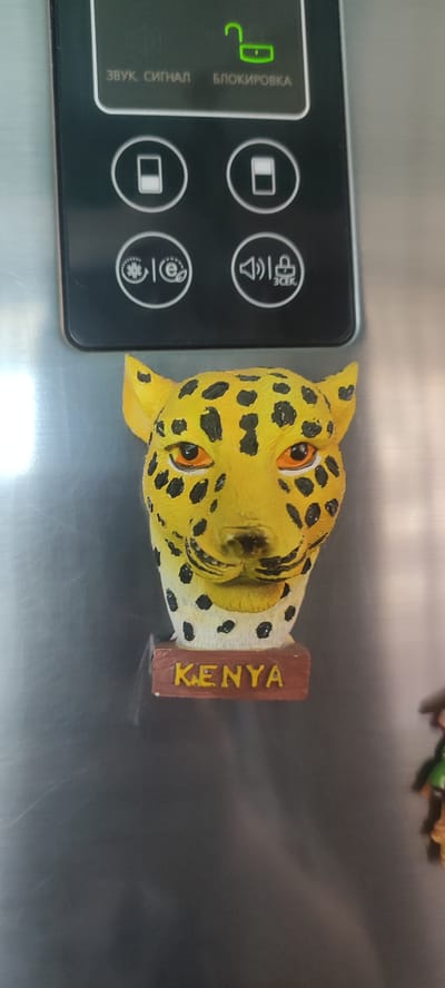 The image shows a refrigerator door with a magnet of a leopard's head on it. The leopard magnet has a small wooden plaque attached to its base that reads "KENYA". Above the magnet, there is a control panel with several buttons and icons, including "ЗВУК. СИГНАЛ" (Sound Signal) and "БЛОКИРОВКА" (Lock). The control panel also has icons related to temperature or modes, possibly for a refrigerator or freezer. The background is the brushed metal surface of the refrigerator. The location is not specified as Ridder, Kazakhstan.