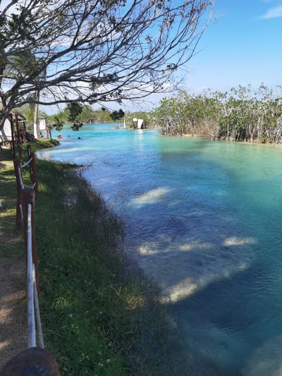 The image shows a turquoise river with a thin layer of white sand on the bottom in the Unidad de Riego, Mexico, with a small white sailboat in the distance. The river flows from the left of the frame to the right. There is a grassy bank to the left of the river and a few people can be seen swimming in the distance. There is a white wooden fence on the grassy bank. The sky is blue and clear. The image is taken from a low angle, looking down at the river. The river is calm and peaceful, with no visible movement.