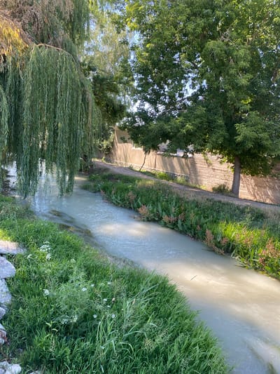The image depicts a picturesque canal flowing through a verdant area, likely within the city of Talas, Kyrgyzstan, given the context. The canal's water is a milky white, reflecting the bright sunlight, and flows gently. Along the left bank of the canal, lush green grass and some white wildflowers create a vibrant border. In the foreground, large, rough-hewn stones are partially visible, adding a natural element to the scene.
Dominating the left side of the image is a large weeping willow tree, its long, cascading branches gracefully arching over the canal, creating a shaded, tranquil atmosphere. On the right bank, a narrow dirt path runs parallel to the canal, bordered by a dense growth of green vegetation interspersed with tall plants bearing reddish-brown seed heads. Beyond the path, a weathered, light-colored wall made of brick or adobe construction stretches into the distance, casting long shadows from the trees. Two mature trees with full, leafy canopies are situated behind this wall, their branches extending towards the sky. The overall impression is one of a serene natural setting within an urban or semi-urban environment. There are no people or animals visible in the image.
