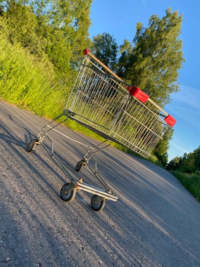 An empty, metal shopping cart with red plastic handles sits on an asphalt road, tilted to the left. The cart's wire basket is visible, as are its four wheels. The road appears to be in a rural or semi-rural area, bordered by tall green grass on the left and a line of trees on the right. The sky is clear and blue. The scene is bathed in the warm light of either sunrise or sunset, casting long shadows across the road from the shopping cart and the surrounding vegetation. The location is identified as Gosttsy, Russia.