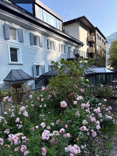 The image depicts the exterior of a building complex in Bad Gastein, Austria. In the foreground, a dense bed of pink roses in full bloom lines a black metal fence. Behind the roses, a portion of a light blue building with white trim and grey shutters on its windows is visible. Further to the right, a modern, dark-wood-clad building with balconies rises up, partially obscuring a beige stucco building. A glass-enclosed conservatory or sunroom connects these structures. The sky is clear and blue, suggesting it is a sunny day. The overall scene conveys a sense of a well-maintained property with a focus on its floral garden.