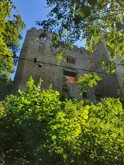 A stone castle ruin is visible from a low angle, partially obscured by lush green foliage. The castle walls are constructed of rough-hewn stones and show signs of decay, with open windows and missing sections. Sunlight filters through the leaves, casting dappled shadows on the stone and greenery. The sky above is a clear, bright blue. The scene depicts Ludlow Castle in Ludlow, United Kingdom.