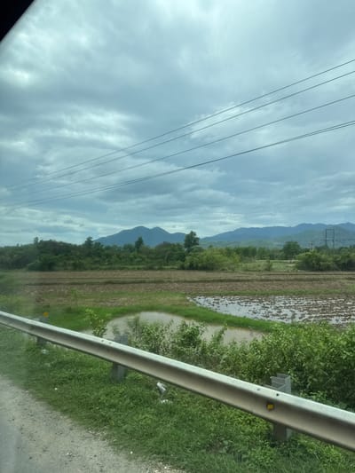 The image presents a rural landscape, likely viewed from the passenger side of a vehicle, given the partial view of a metal guardrail on the right side of the frame. The scene is dominated by natural elements under an overcast sky.

In the immediate foreground, a silver-colored metal guardrail runs diagonally across the lower right, with green grass and scattered foliage visible behind it. A small yellow rectangular reflector or marker is attached to the guardrail.

Beyond the guardrail and vegetation, a flooded field, consistent with a rice paddy, stretches across the midground. The water reflects the cloudy sky, and darker patches within the field suggest tilled earth or very young plants. A line of dense green trees and bushes separates the field from the more distant elements.

The background features a range of mountains, appearing hazy and blueish-green, indicating distance and atmospheric perspective. The sky above is covered with light grey and white clouds, suggesting an overcast day. Several parallel black power lines or telephone lines are visible against the cloudy sky in the upper left quadrant of the image.

The overall scene depicts a calm, agricultural setting in a mountainous region, consistent with the specified location of Dien Tho, Vietnam. The weather is cloudy, and the time of day appears to be daylight, possibly late morning or afternoon. No people or legible text are visible in the image.