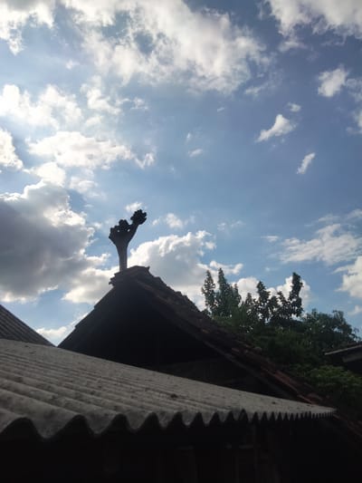 The image depicts a clear sky with scattered clouds above a rooftop. In the foreground, a corrugated metal roof is visible, leading to a tiled roof with a distinctive, tree-like silhouette atop it. Behind the tiled roof, lush green foliage from trees can be seen. The overall scene is one of an outdoor environment, possibly in a residential area of Kedung Dowo, Indonesia. There are no people or observable actions in the image.