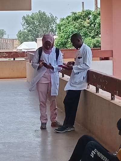 Two people, a woman wearing a pink hijab and a man, stand side-by-side in a hallway. Both are wearing white lab coats. The woman is holding a phone in her left hand and a small notebook in her right hand. The man is holding a pink folder in his left hand. They are facing each other, and the woman is looking at the man. The hallway is surrounded by a tan concrete wall and a red metal railing. There is a small building in the background. The scene is located in Jaji, Nigeria at the coordinates 11.174, 7.605.