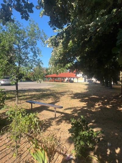 This is an outdoor, eye-level shot of a park area in Berehove, Ukraine, on a sunny day. The foreground is dominated by dry, yellowish grass and dappled shade from overhead trees. A simple wooden bench with metal legs is positioned in the middle ground, facing left. To the left of the bench, there is a small green bush and some dried plant matter. Further back, a paved area is visible, with a silver car parked on the left. In the background, a red-roofed pavilion with open sides and wooden tables and benches is situated in front of a yellow building. The sky is a clear, bright blue.