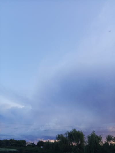The image shows a landscape with a vast expanse of sky, which transitions from a light blue at the top to a darker, cloud-filled region towards the bottom. There are some wispy clouds visible. In the lower portion of the image, there is a line of trees and vegetation. Power lines stretch horizontally across the middle ground. In the far distance, a house with a light-colored roof is visible amongst the trees. The scene appears to be set in an outdoor environment, likely rural or suburban, possibly near Panino, Russia, given the context. The overall impression is one of twilight or a cloudy day.