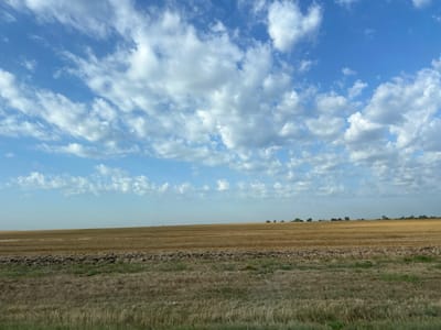 The image depicts a vast, harvested agricultural field under a bright blue sky dotted with scattered white clouds. The field appears to be mostly golden-brown stubble, with darker, tilled earth visible in some areas closer to the foreground. A line of trees is faintly visible on the distant horizon. The scene suggests a rural setting, likely in the countryside outside of a city. Given the prompt's specific mention of Novovochepshii, Russia, this image could represent a landscape in that region during the post-harvest season. There are no people or discernible actions occurring in the image. The focus is on the expansive natural environment.