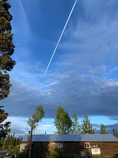 The image captures a rural scene at dusk in Haines Junction, Canada. The sky is a vibrant blue, streaked with wispy clouds and a distinct contrail from an airplane arcing diagonally across the upper portion. In the foreground, a long, rustic wooden building with a corrugated metal roof sits nestled amongst trees. The building has two visible windows and a large, light-colored object that appears to be a storage tank or bin with antlers resting on top. To the left of the building, a tall evergreen tree extends into the frame. The surrounding environment is characterized by a dense coniferous forest in the background and scattered deciduous trees in the midground, suggesting a remote, natural setting. Power lines are faintly visible stretching horizontally across the scene. The overall impression is one of a peaceful, early evening in a northern landscape.