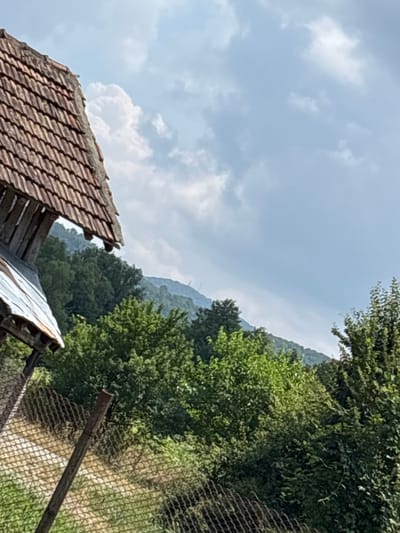 The image depicts an outdoor scene in Borintsi, Bulgaria. In the foreground, a rustic wooden structure with a tiled roof is partially visible on the left side of the frame. A section of a wire mesh fence runs diagonally across the lower portion of the image, with a wooden fence post in the center. Beyond the fence, a dense forest covers a hillside that extends into the background. The sky above is partly cloudy, with large white clouds against a light blue expanse. The overall impression is of a rural or natural setting. There are no people or animals visible in the image, and no actions or interactions are depicted. The environment is characterized by lush greenery, a man-made structure, and a natural landscape.