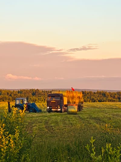 In the city of Kirovo, Russia, at sunset, a blue tractor with a front loader is parked in a field of tall green grass. Next to it is a flatbed truck loaded with hay bales, with a person in a red shirt and black hat standing on top of the hay. The field is bordered by a dense forest of green trees in the distance. The sky is a gradient of pale blue at the top to pale orange and pink near the horizon, with scattered clouds. The foreground features lush green vegetation, catching the warm glow of the setting sun.