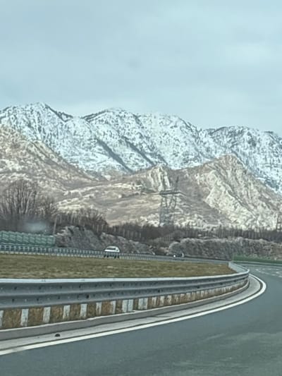 A wide shot depicts a mountainous winter landscape near Pelev Brijeg, Montenegro, under an overcast sky. In the foreground, a multi-lane asphalt highway curves sharply to the right, featuring a silver metal guardrail with white and beige vertical markings at its base. A grassy median separates the foreground road from distant lanes. On the distant road segment, two vehicles are observed: a light-colored minivan or SUV on the left lane and a darker vehicle further ahead on the right lane.
Beyond the highway, the terrain rises, initially with brown, sparse vegetation and bare deciduous trees. A prominent metal lattice electricity pylon stands on a middle-ground slope. Further back, large mountains dominate the horizon, their upper slopes extensively covered in white snow, contrasting with the lighter, rocky, and less vegetated lower mountain sections. A green sound barrier or fence is visible alongside the distant highway segment on the left.