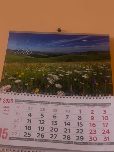 The image shows a close-up of a calendar for May 2026, hanging on a wall. The calendar features a scenic landscape photograph of rolling green hills with a field of daisies and wildflowers in the foreground. The text on the calendar includes "Май Беларусь 2026" (May Belarus 2026) at the top, with the days of the week and dates below. The days of the week are listed in Cyrillic at the top (НЕДЕЛЯ, ПОНЕДЕЛЬНИК, ВТОРНИК, СРЕДА, ЧЕТВЕРГ, ПЯТНИЦА, СУББОТА, ВОСКРЕСЕНЬЕ) with translations or similar words below (ТЫДЗЕНЬ, ПАНЯДЗЕЛАК, АЎТОРАК, СЕРАДА, ЧАЦВЕР, ПЯТНІЦА, СУБОТА, НЯДЗЕЛЯ). The dates for May 2026 are displayed in a grid format. The lower portion of the calendar has English translations for the days of the week (WEEK, MONDAY, TUESDAY, WEDNESDAY, THURSDAY, FRIDAY, SATURDAY, SUNDAY). The calendar is attached to the wall with a metal spiral binding and appears to be a typical wall calendar. The background wall is a plain, light orange color, and the lighting suggests an indoor setting. There is no specific indication of the city of Masty, Belarus, within the image itself, although the text "Беларусь" confirms the country.