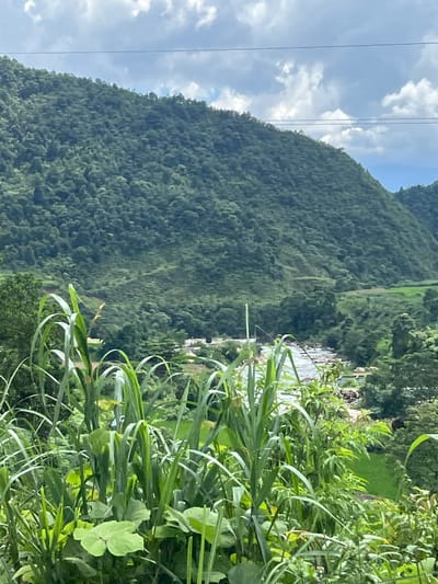 In the foreground of the image, tall, green grass and other lush vegetation are prominent. In the midground, a river flows through a valley, with a small cluster of buildings visible near its banks. The valley is surrounded by steep, densely forested mountains. The sky above is partly cloudy, with patches of blue sky visible through the white clouds. Two power lines are strung across the top of the image. The scene appears to be a rural landscape in the city of Bình Lư, Vietnam. There are no people or animals visible in the image.