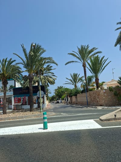 The image shows a street scene in Urbanización Punta Prima, Spain, under a clear blue sky. In the foreground, a road with a white pedestrian crossing is visible, with a green and white traffic cone positioned on the crossing. To the left, a building with a glass facade is lined with palm trees. A sign on the building reads "Snap & Coffee". Further down the street, more palm trees line the pavement, which has a stone wall on the right side. A few cars are visible parked or driving along the street in the distance. The environment appears to be a sunny day in a warm climate.