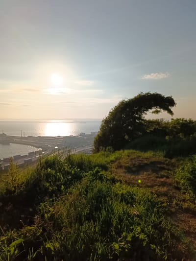 The image shows a panoramic view of a coastal area during a sunset or sunrise. The sun is low on the horizon, casting a golden glow on the water and creating a bright reflection. In the foreground, there is a grassy hill with some vegetation. In the middle ground, a body of water is visible, likely the Sea of Okhotsk, with a port or industrial area on the far side. There are structures, possibly cranes and buildings, along the coastline. A distinctive, uniquely shaped tree with dense foliage stands on the right side of the hill, its branches arching over the landscape. In the distance, the horizon is visible, with a few ships or boats. The sky is clear with some faint clouds. The overall scene conveys a sense of natural beauty and industrial activity combined. This location is likely on a hill overlooking the port of Korsakov, Russia.
