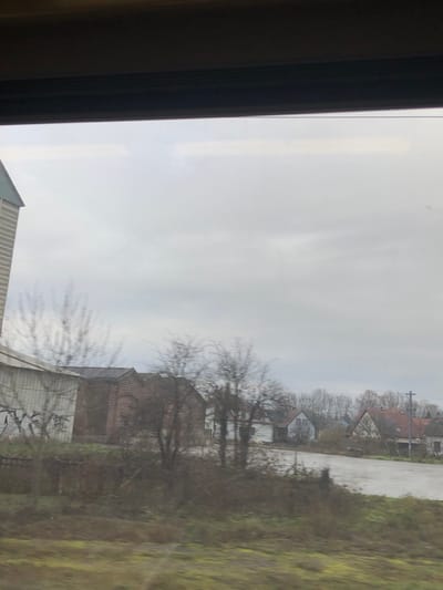 The image, captured from a moving vehicle in Dettwiller, France, depicts a landscape under an overcast, grey sky. The foreground consists of blurred green and brown ground vegetation. In the midground, a tall, vertically-striped silo with a dark green conical roof is partially visible on the far left. Adjacent to it is a long, light-colored building with visible graffiti on its lower section. To the right, two reddish-brown brick buildings with gabled roofs are situated behind bare deciduous trees and dense brown undergrowth. Further right, a wide, wet, grey-toned area, possibly a road or open yard, separates the foreground from a cluster of residential-style houses with various roof types, including red/orange tiles, in the background. A utility pole with overhead lines is visible on the far right. The bare trees indicate a colder season. No individuals are present in the scene.