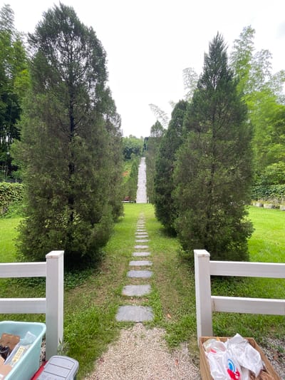 A pathway of stone pavers leads uphill through a manicured lawn lined with tall, dark green conical trees on either side. The pathway is bordered by gravel on one side and grass on the other. A white fence runs along the foreground, with a pale blue bin containing items on the left and a wooden crate with plastic bags on the right. In the distance, a steep set of stone stairs ascends the hill, with more trees and vegetation visible on the higher slopes. The sky is overcast. The scene appears to be a garden or park setting, possibly a resort or estate. The location is identified as Guangzhou City, China.