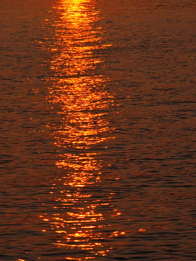 The image is a close-up, low-angle, eye-level shot of the surface of dark, choppy water reflecting the golden light of the sun, likely at sunset or sunrise. The water is a deep, rich brown with visible ripples and waves. The sunlight creates a shimmering, broken path of bright orange and yellow streaks across the surface, extending from the top of the frame towards the bottom. There are no people, animals, or man-made objects visible in the frame. The scene is purely a naturalistic depiction of light interacting with water. The location is not specified in the image itself; therefore, it cannot be definitively linked to Потапово, Russia.