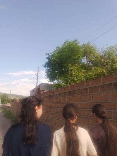 The image shows three young women from behind, walking down a paved path in a semi-rural area. They are walking next to a tall brick wall, and in the background, there is a building with a corrugated metal roof. Lush green trees are visible above the wall, and the sky is clear blue with a few wispy clouds. The scene appears to be located in the village of Nor Geghi, Armenia, as indicated by the style of the buildings, the brick wall, and the surrounding landscape, which is consistent with rural Armenian environments. The women are dressed casually, and their hair is tied back in ponytails, suggesting they are likely enjoying an outdoor activity.