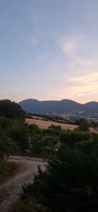 This image depicts a scenic landscape at dusk, likely in Camerino, Italy. The scene is dominated by a mountain range silhouetted against a soft, pastel-colored sky, transitioning from a pale blue to hues of peach and yellow, indicative of sunset. The foreground features lush green foliage and trees, with a dirt path winding through them. In the mid-ground, a field of dry, golden crops stretches across the undulating terrain, bordered by more trees.

There are no discernible people in the image. Several objects are visible: a dark green, cylindrical metal tank is situated amongst the trees near the path, and to its left, what appear to be blue and white tarps or bags are clustered. The path itself is made of gravel and dirt, showing signs of recent moisture. The overall atmosphere is tranquil and serene, evoking a sense of calm rural evening. The light suggests it is late evening or early morning during a time of year when crops are dry. The mountainous backdrop and agricultural fields point towards a rural Italian setting. No text is visible in the image.
