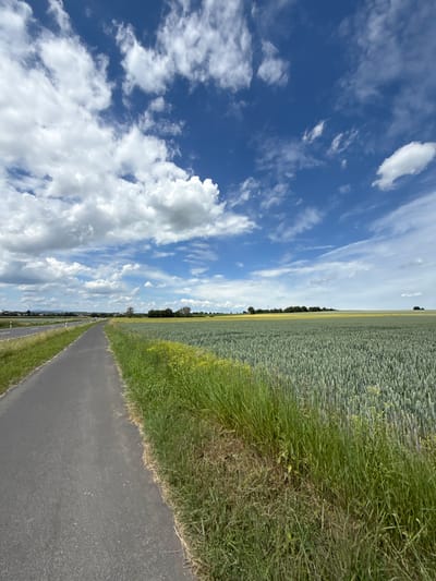 The image depicts an expansive rural landscape in Bruchköbel, Germany, under a bright, partially cloudy daytime sky. A narrow asphalt path, possibly a bike or farm road, extends from the foreground and curves gently towards the left, receding into the middle distance. To the immediate left of this path, a strip of green grass separates it from a wider paved road, along which white reflective road markers are visible. In the far distance on the left, a settlement or town with indistinct structures can be observed.
To the right of the asphalt path, a vibrant strip of tall green grass and scattered yellow wildflowers lines the edge, bordering a vast agricultural field. This field, primarily composed of a light green crop (consistent with young wheat or similar grain), stretches across the midground and into the distant horizon. A distinct area of yellowish crop, likely rapeseed, is visible further back within the same field. A dense line of trees and bushes forms a dark green band across the mid-horizon, separating the fields from the distant sky.
The sky occupies the upper portion of the frame, showcasing a deep blue hue interspersed with numerous white cumulus clouds of varying sizes and densities. The lighting suggests a clear, bright day with dynamic cloud cover. No people, vehicles (beyond what might be implied by the distant road), or specific actions or interactions are discernible within the frame.