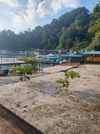 The image depicts a waterfront scene in Parapat, Indonesia, with a sandy beach in the foreground and buildings and lush green hills in the background. A wooden pier extends into the calm, blue water where several boats are docked. The boats appear to be passenger ferries, with some featuring white hulls and blue accents.
On the beach, two small trees with green leaves stand prominently. Further back, there are two open-air structures with blue roofs and wooden or bamboo walls, likely serving as shelters or seating areas. A few people are visible on the beach and near the water, including one person standing near the water's edge and two individuals sitting on the sand. The environment is sunny with scattered white clouds in the sky. The overall impression is one of a tranquil tropical setting.