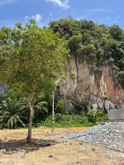 In the city of Thung Yai, Thailand, a large, sheer rock face dominates the background of the image. The cliff is a mix of tan, orange, and black hues, with sparse green vegetation clinging to its crevices and overhangs. The top of the cliff is densely covered in lush green trees. In the foreground, a single, moderately sized tree with light-colored bark and a full canopy of green leaves stands to the left. Its branches droop slightly, with some thin, vine-like structures hanging down. To the left of the tree, a cluster of palm trees with large, fan-shaped fronds is visible. The ground is composed of dry, sandy soil with scattered rocks and some darker patches, possibly indicating moisture or staining. A pile of dirt is situated behind the tree, and further to the right, a concrete structure, possibly a wall or building foundation, is present. A section of rocky embankment, covered with gray stones and some blue piping, leads away from the foreground. A light pole with wires runs vertically through the mid-ground. The sky above is a clear blue with a few wispy white clouds, and two dark birds are visible in flight.