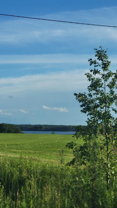 The image depicts a landscape scene, likely in Solnechnoe, Russia. The primary subjects are a vast expanse of green field and a clear blue sky with scattered white clouds. In the background, a calm body of water, possibly a lake or river, is visible, bordered by a dense line of dark green trees. In the foreground, a branch with green leaves hangs into the frame from the top left, and a thin black power line runs vertically along the left edge of the image. The overall setting is natural and serene, suggesting an outdoor environment.
There is no discernable activity or event taking place in the image; it appears to be a still, scenic shot. The time of day seems to be daytime, judging by the brightness of the sky and the clear visibility. The weather appears to be fair and sunny. Location cues are limited to the context provided, but the scene is consistent with a rural or natural setting in Russia. No emotions are conveyed, as there are no people or animals present. There is no visible text in the image.