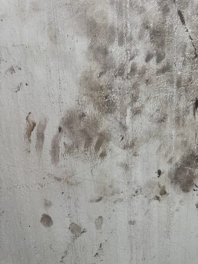 The image is a close-up, full-frame shot of a concrete surface, exhibiting a textured, weathered appearance. The concrete is predominantly light gray with significant areas of darker gray and brown staining, suggesting the presence of dirt, oil, or other substances. Numerous small pits and rough patches are visible across the surface, indicative of wear and tear. Subtle linear striations are present, possibly from the concrete finishing process or material abrasion. There are no discernible people, objects, or actions depicted in the image; it focuses solely on the textural details of the material. The location in Mejaniga, Italy, is not directly indicated by any visual elements within the frame.