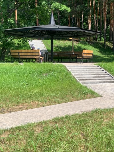This image shows an outdoor seating area in a park in Arbuzov-Baran, Russia. A large, dark umbrella-like canopy provides shade over several wooden picnic tables and benches. To the left, two individuals are seated on a long wooden bench, facing away from the camera. In the background, a set of concrete stairs ascends a grassy slope, with a dense forest of pine trees visible behind the canopy and to the right. A paved walkway runs in the foreground, leading towards the stairs and seating area. The ground is covered in green grass. The scene appears to be a public park designed for relaxation and outdoor gatherings.