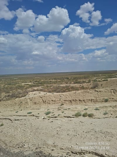 An eye-level, medium shot captures a dry, arid landscape under a partly cloudy blue sky. The terrain is uneven, with a rocky, sandy foreground transitioning to gently rolling hills covered in sparse, dry vegetation. In the middle ground, a trench or erosion scar cuts through the landscape. Power poles are visible in the distance, dotting the flat horizon. The overall impression is one of a desolate, natural environment. The image includes text in the lower right corner that reads "Galaxy A56 5G 21 июля 2026 г. 14:44".
