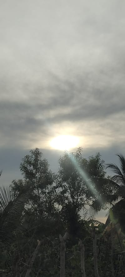 A bright sunbeam cuts through a cloudy sky, illuminating a lush canopy of trees. The sun, a white disc, is partially obscured by clouds, creating a hazy glow. A strong lens flare emanates from the sun, casting a diagonal streak of light across the image. The trees, with their dark green leaves, are dense and appear to be in full bloom. Some palm fronds are visible on the right side of the image, suggesting a tropical environment. The lower portion of the image shows a dark, dense foliage, possibly undergrowth, with a few rough, vertical wooden posts poking out, suggesting a fence or boundary. The scene appears to be outdoors, likely in a natural or semi-natural setting. The lighting and foliage suggest a time of day with a low sun angle, possibly morning or late afternoon. Given the mention of Glokaron, Indonesia, the environment is consistent with a tropical climate. There are no people or animals visible in the image.