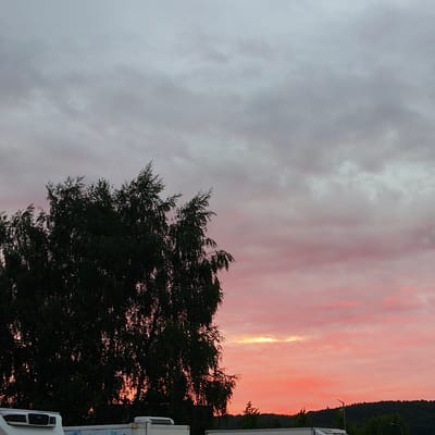 The image depicts a sunset scene in Reda, Poland. A large, dark green tree dominates the left side of the frame, its branches and leaves silhouetted against a sky filled with soft pink and gray clouds. A strip of bright yellow light is visible near the horizon, indicating the setting sun. In the foreground, the tops of white refrigerated trucks are visible, suggesting a transportation or logistics area. A dark, tree-covered hill forms the background on the right, with a street light visible near its crest. The overall impression is a tranquil evening scene.